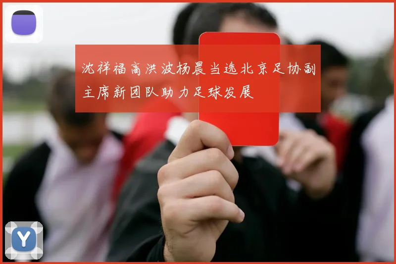 沈祥福高洪波杨晨当选北京足协副主席新团队助力足球发展